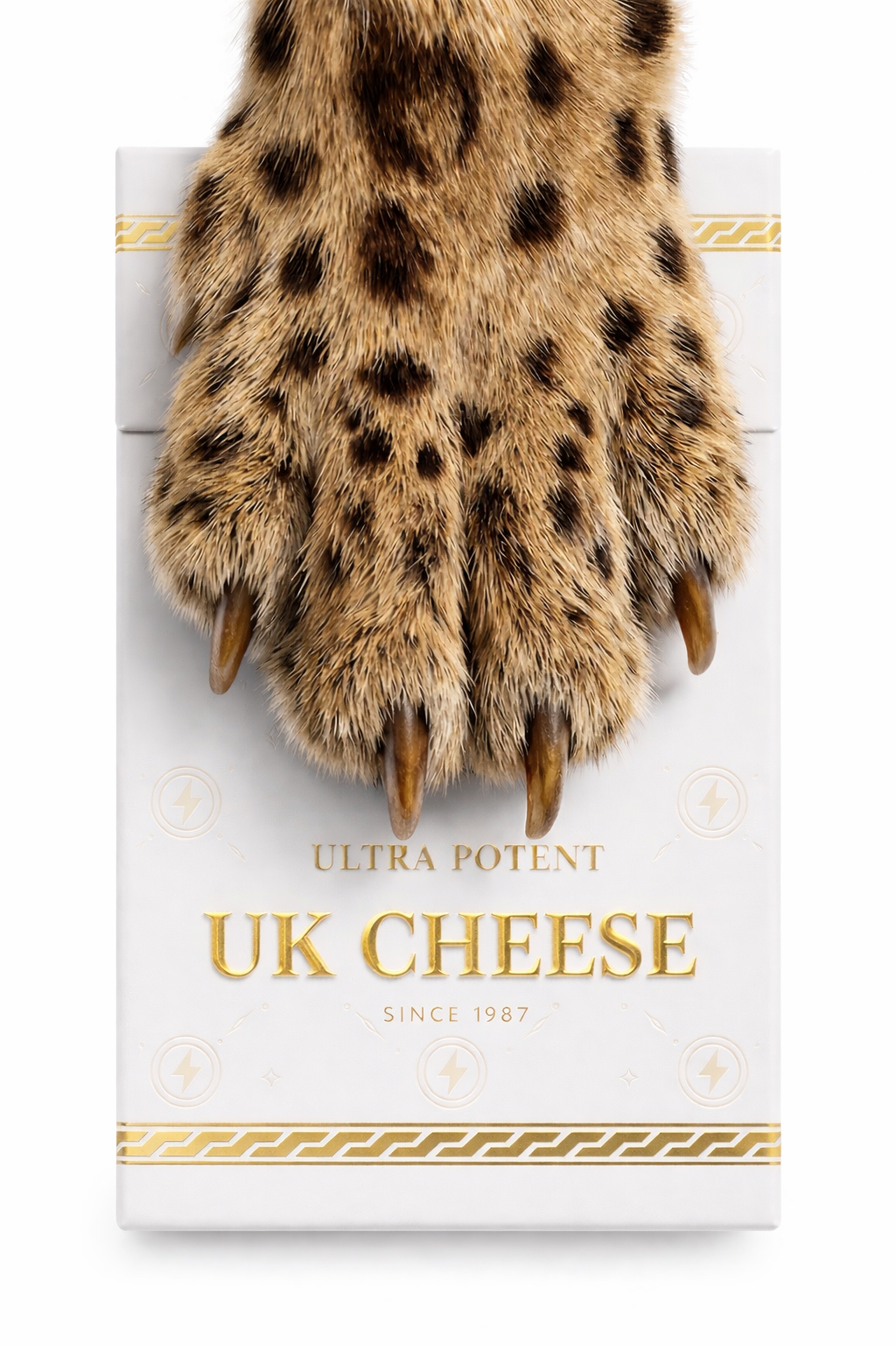 collection item three